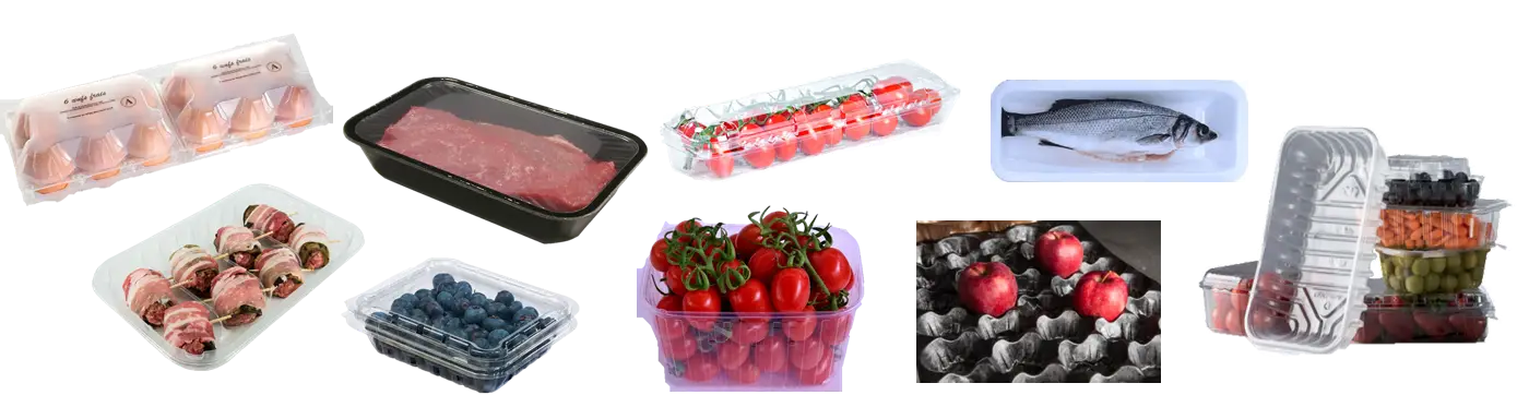 T2 - MAQUINAS Y MOLDES PARA TERMOFORMADO_Envases Varios
